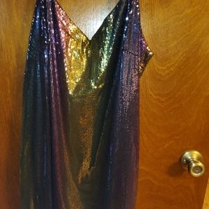 Wild Fable rainbow sequined dress